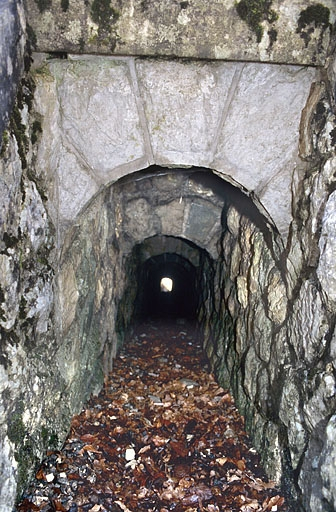 Voûte appareillée en rouleaux à ressauts, vue depuis l'amont (nord). © Yves Sancey / Région Bourgogne-Franche-Comté, Inventaire du patrimoine - 2005