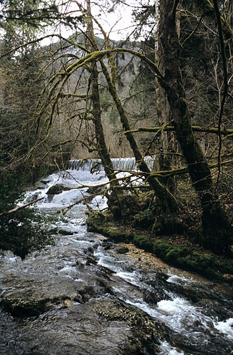 Pont sur le Lizon : le ruisseau, en amont. © Yves Sancey / Région Bourgogne-Franche-Comté, Inventaire du patrimoine - 2005