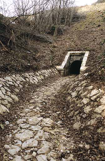 Aqueduc : tête aval (ouest) et rigole (cadrage vertical). © Yves Sancey / Région Bourgogne-Franche-Comté, Inventaire du patrimoine - 2005 Aqueduc : tête aval (ouest) et rigole (cadrage vertical). © Yves Sancey / Région Bourgogne-Franche-Comté, Inventaire du patrimoine - 2005