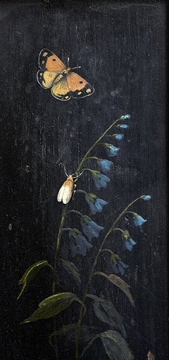 Intérieur, pièce du premier étage : détail du décor peint (campanules et papillons) sous l'une des fenêtre. © Yves Sancey / Région Bourgogne-Franche-Comté, Inventaire du patrimoine - 2007