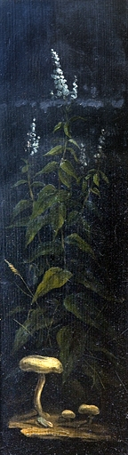 Intérieur, pièce du premier étage : détail du décor peint (fleurs et champignons) sous l'une des fenêtre. © Yves Sancey / Région Bourgogne-Franche-Comté, Inventaire du patrimoine - 2007