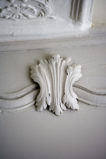Intérieur, rez-de-chaussée : détail d'un feuillage à la partie supérieure d'un panneau, lambris du salon. © Yves Sancey / Région Bourgogne-Franche-Comté, Inventaire du patrimoine - 2007