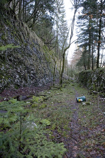 Tranchée du premier tracé abandonnée, rive gauche de l'Ain, à proximité du viaduc de Syam (commune de Cize). © Yves Sancey / Région Bourgogne-Franche-Comté, Inventaire du patrimoine - 2007 Tranchée du premier tracé abandonnée, rive gauche de l'Ain, à proximité du viaduc de Syam (commune de Cize). © Yves Sancey / Région Bourgogne-Franche-Comté, Inventaire du patrimoine - 2007
