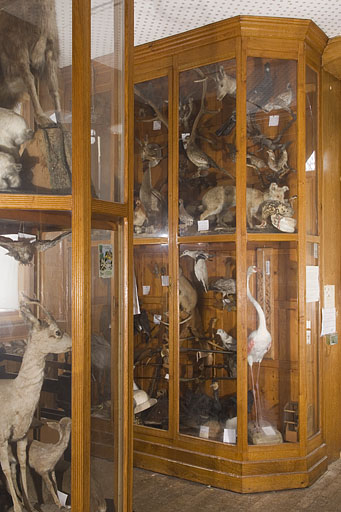 Vue générale de la vitrine à droite de l'entrée du musée. © Jérôme Mongreville / Région Bourgogne-Franche-Comté, Inventaire du patrimoine - 2009