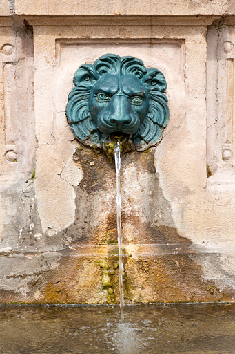 Tête de lion ornant la borne fontaine, vue de face. © Jérôme Mongreville / Région Bourgogne-Franche-Comté, Inventaire du patrimoine - 2010