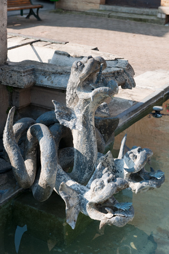 Vue en plongée de deux hydres. © Jérôme Mongreville / Région Bourgogne-Franche-Comté, Inventaire du patrimoine - 2010