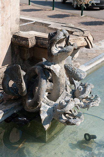 Vue de deux hydres. © Jérôme Mongreville / Région Bourgogne-Franche-Comté, Inventaire du patrimoine - 2010