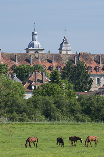 Vue partielle rapprochée depuis le sud. © Jérôme Mongreville / Région Bourgogne-Franche-Comté, Inventaire du patrimoine - 2012