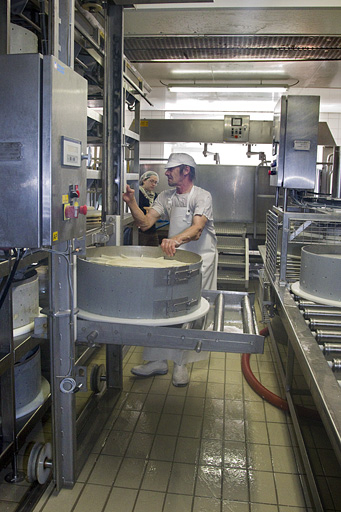 Fabrication du comté : mise sous presse du moule rempli de caillé. © Yves Sancey / Région Bourgogne-Franche-Comté, Inventaire du patrimoine - 2013