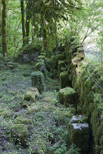 Site du Bief d'Etoz : supports des axes de roues. © Yves Sancey / Région Bourgogne-Franche-Comté, Inventaire du patrimoine - 2013 Site du Bief d'Etoz : supports des axes de roues. © Yves Sancey / Région Bourgogne-Franche-Comté, Inventaire du patrimoine - 2013