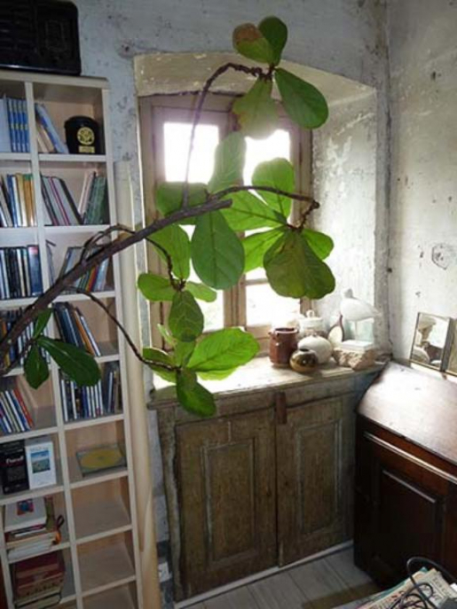 Baie de la façade sud, étage © Sabrina Dalibard / Région Bourgogne-Franche-Comté, Inventaire du patrimoine - 2013 Baie de la façade sud, étage © Sabrina Dalibard / Région Bourgogne-Franche-Comté, Inventaire du patrimoine - 2013