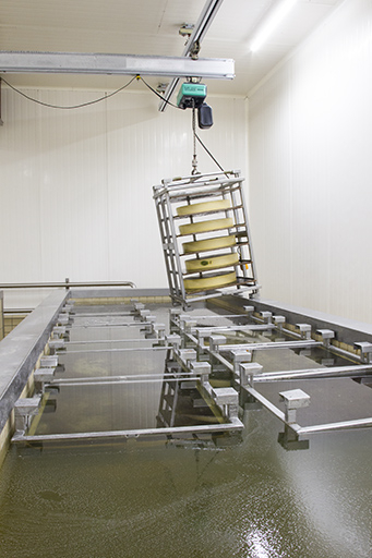 Fabrication : sortie des meules de comté du bac à saumure. © Sonia Dourlot / Région Bourgogne-Franche-Comté, Inventaire du patrimoine - 2014