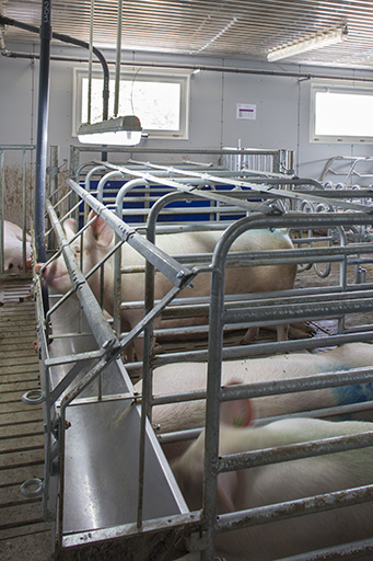 Dans la porcherie.  © Sonia Dourlot / Région Bourgogne-Franche-Comté, Inventaire du patrimoine - 2014