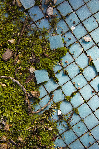 Piscine : détail de la mosaïque. © Sonia Dourlot (reproduction) / Région Bourgogne-Franche-Comté, Inventaire du patrimoine - 2014 Piscine : détail de la mosaïque. © Sonia Dourlot (reproduction) / Région Bourgogne-Franche-Comté, Inventaire du patrimoine - 2014