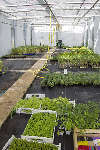 Vue intérieure d'une serre. © Jérôme Mongreville / Région Bourgogne-Franche-Comté, Inventaire du patrimoine - 2014