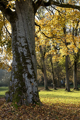 Vue partielle du parc. © Sonia Dourlot / Région Bourgogne-Franche-Comté, Inventaire du patrimoine - 2016