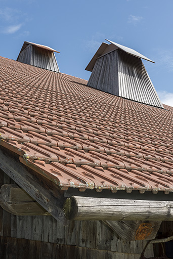 Pan de toiture sud, avec deux "tués". © Sonia Dourlot / Région Bourgogne-Franche-Comté, Inventaire du patrimoine - 2017 Pan de toiture sud, avec deux "tués". © Sonia Dourlot / Région Bourgogne-Franche-Comté, Inventaire du patrimoine - 2017