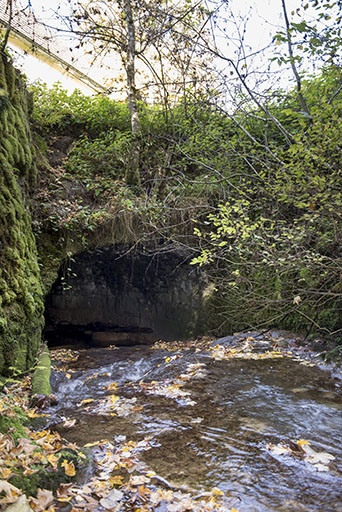 Couverture sur le ruisseau de la Douve, en amont du bâtiment. © Sonia Dourlot / Région Bourgogne-Franche-Comté, Inventaire du patrimoine - 2017