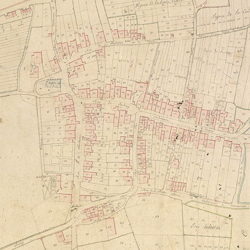 Extrait du cadastre napoléonien terminé le 25 septembre 1819. Section D dite du village. © Sonia Dourlot (reproduction) / Archives départementales de la Haute-Saône - 2017 Extrait du cadastre napoléonien terminé le 25 septembre 1819. Section D dite du village. © Sonia Dourlot (reproduction) / Archives départementales de la Haute-Saône - 2017