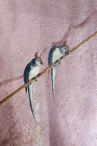 Décor de la 1ère volée : deux perroquets. © Sonia Dourlot / Région Bourgogne-Franche-Comté, Inventaire du patrimoine - 2018