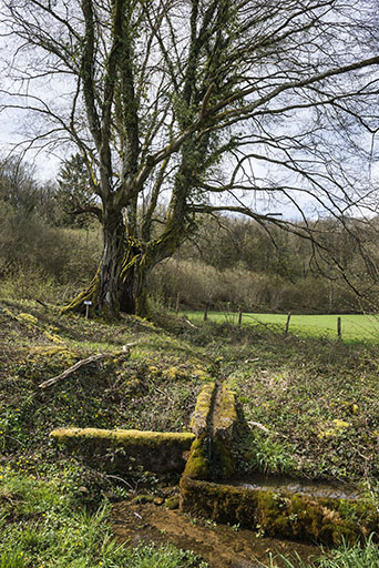 La source et la fontaine. © Jérôme Mongreville / Région Bourgogne-Franche-Comté, Inventaire du patrimoine - 2018