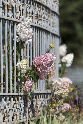 Clôture : lilas dépassant de la grille. © Sonia Dourlot / Région Bourgogne-Franche-Comté, Inventaire du patrimoine - 2019