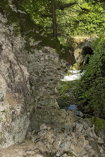 Ruines de la scierie Vadam, sur la rive droite. © Sonia Dourlot / Région Bourgogne-Franche-Comté, Inventaire du patrimoine - 2019