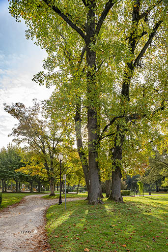 parc © Jérôme Mongreville / Région Bourgogne-Franche-Comté, Inventaire du patrimoine - 2021 parc © Jérôme Mongreville / Région Bourgogne-Franche-Comté, Inventaire du patrimoine - 2021